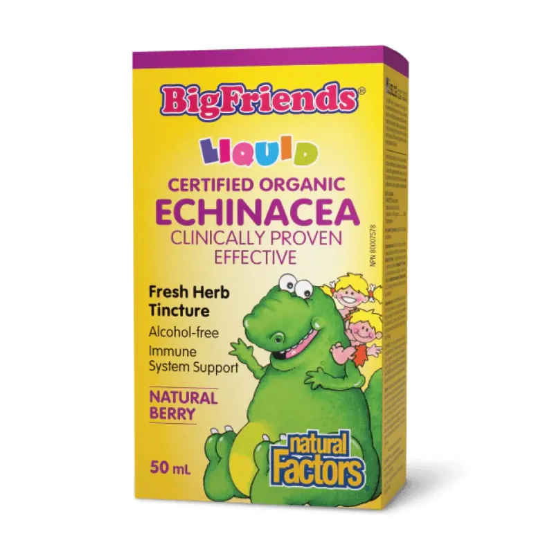 Natural Factors BigFriends Echinacea Alcohol-Free Fresh Herb Tincture for Kids, 50 мл