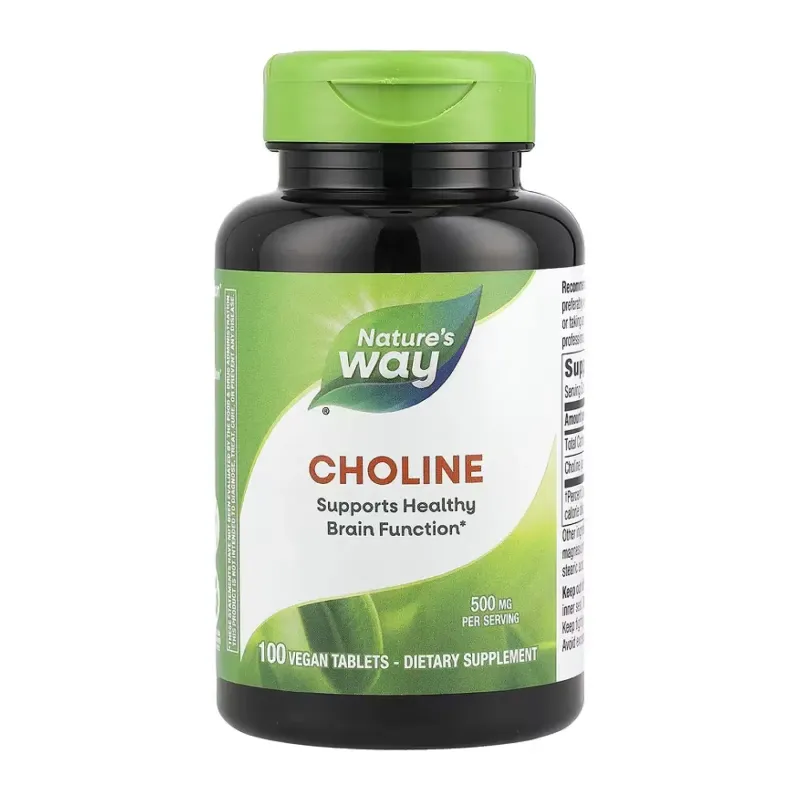 Nature's Way Choline 500 мг, 100 табл.